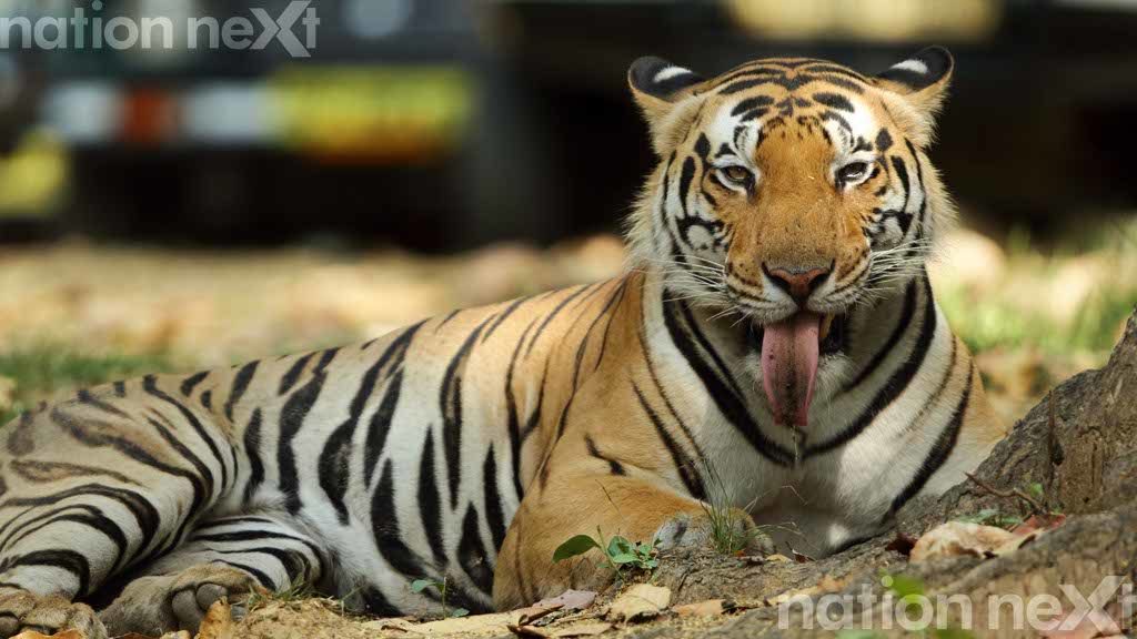 Photo by: Sarosh Lodhi
