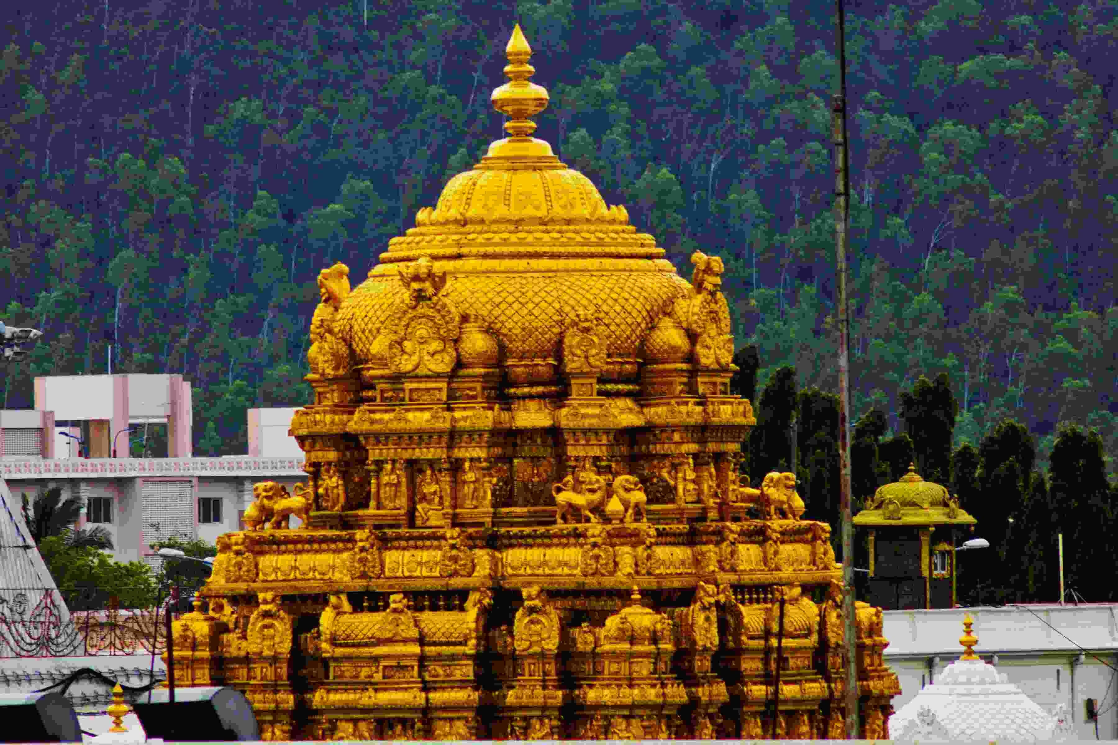 Tirumala Venkateswara Temple 