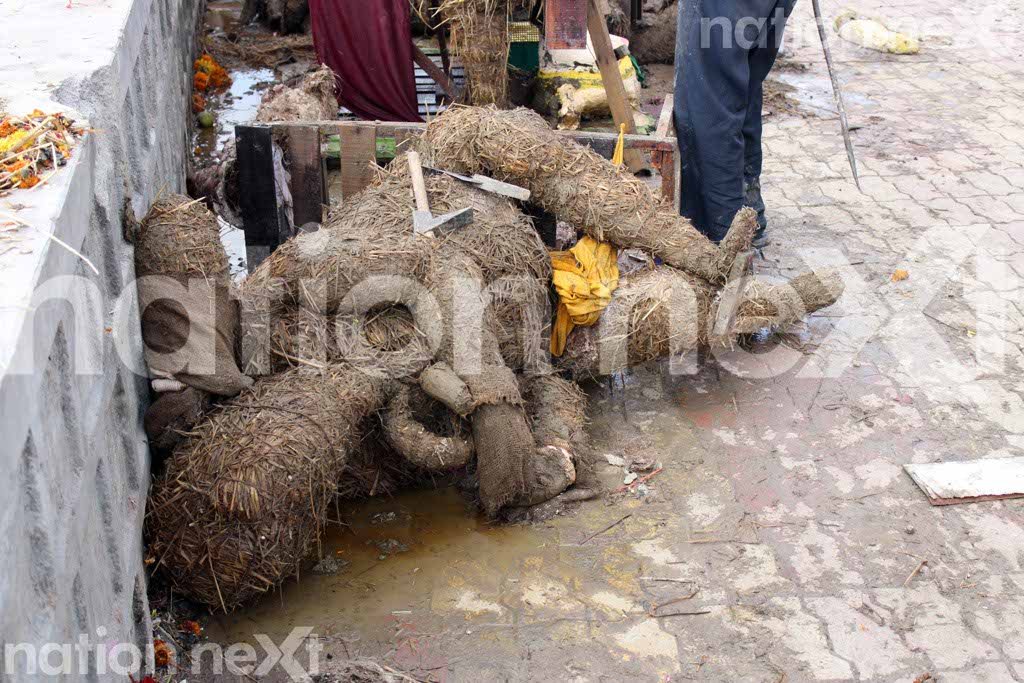 SAVE ME! A Ganesha idol lying of the floor after it was pulled out of Futala Lake, Nagpur