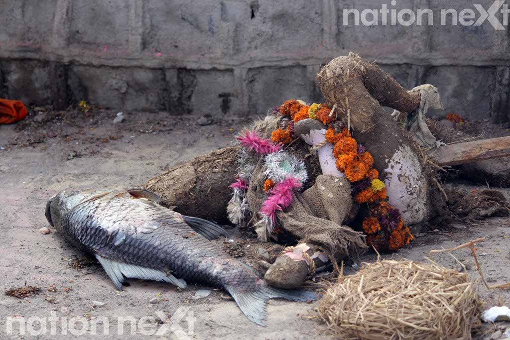 KILLED IN THE NAME OF CELEBRATIONS: A dead fish and a Ganesha idol pulled out of Futala Lake, Nagpur, after the immersion