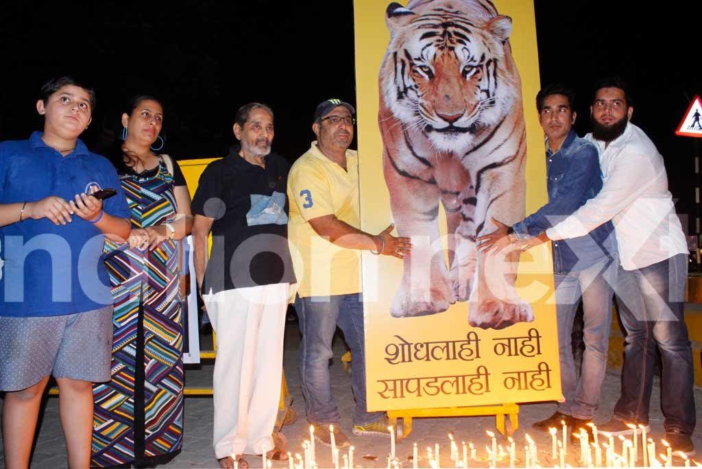 A candlelight march was organised at RBI square, Nagpur, by a few Nagpur's wildlife enthusiasts in the memory of the famous tiger Jai. 