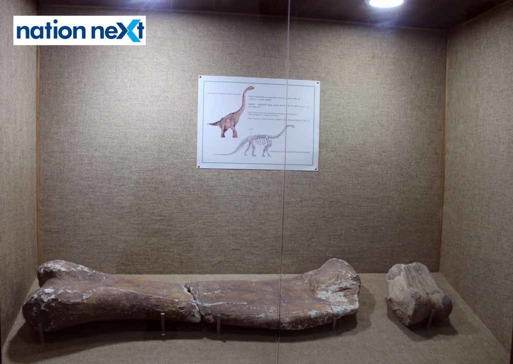 Central Museum 1 (29)