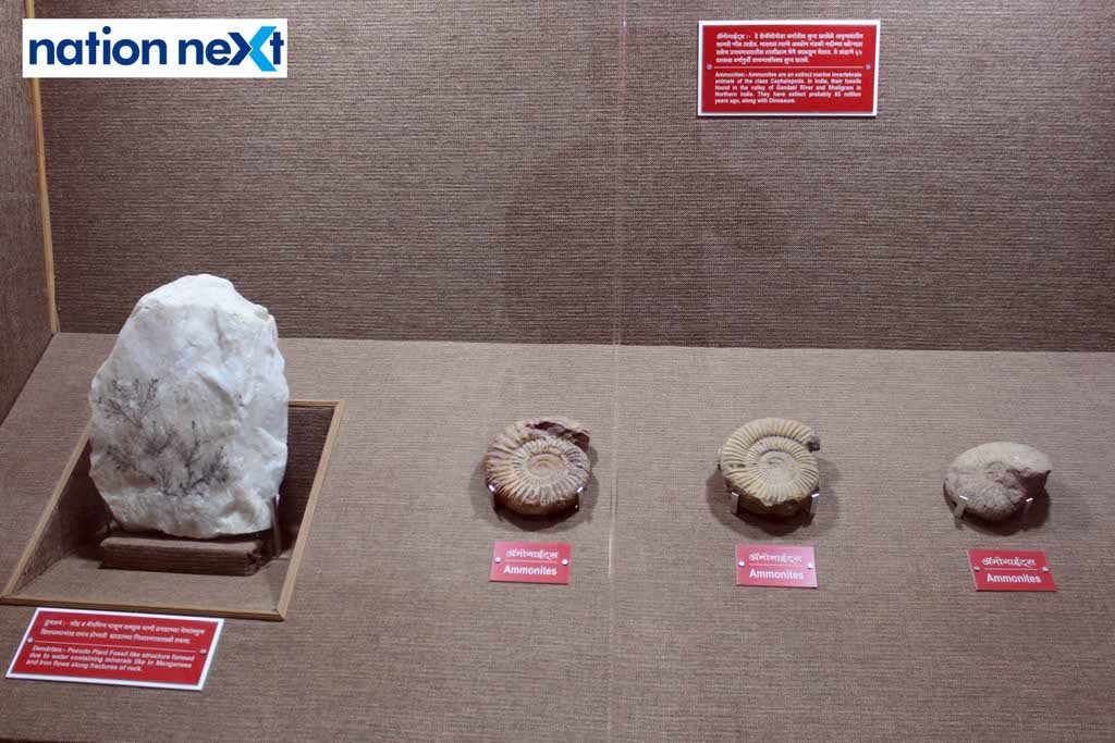 Central Museum 1 (30)