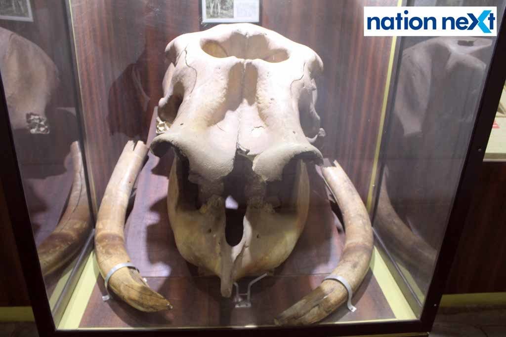 Central Museum 1 (31)