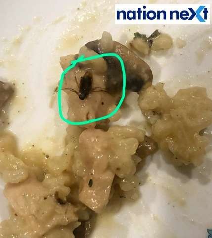 Nagpur woman was shocked to find a cockroach in her food that was ordered from Sadar's restaurant ZINQ on Saturday evening.